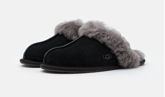 UGG Slipper