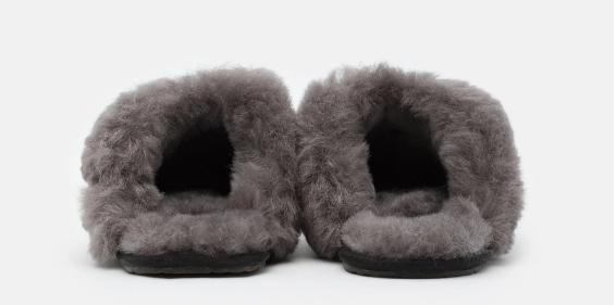 UGG Slipper