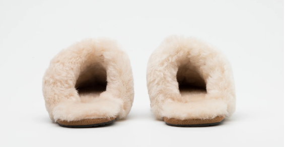 UGG Slipper