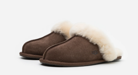 UGG Slipper