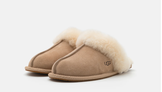 UGG Slipper