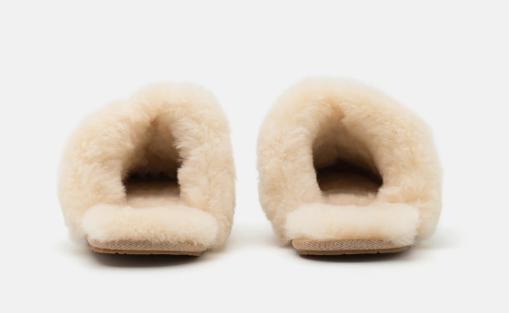 UGG Slipper